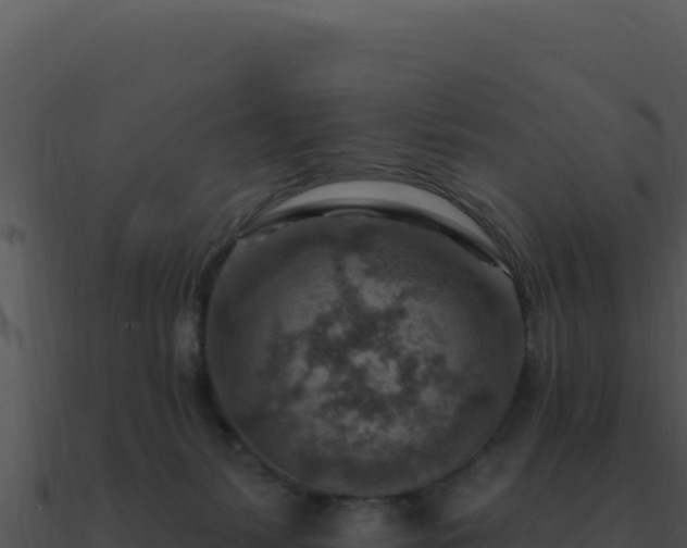 X0000091000127200708021609