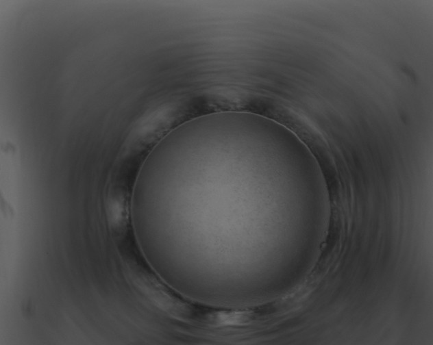 X0000091000134200708021609
