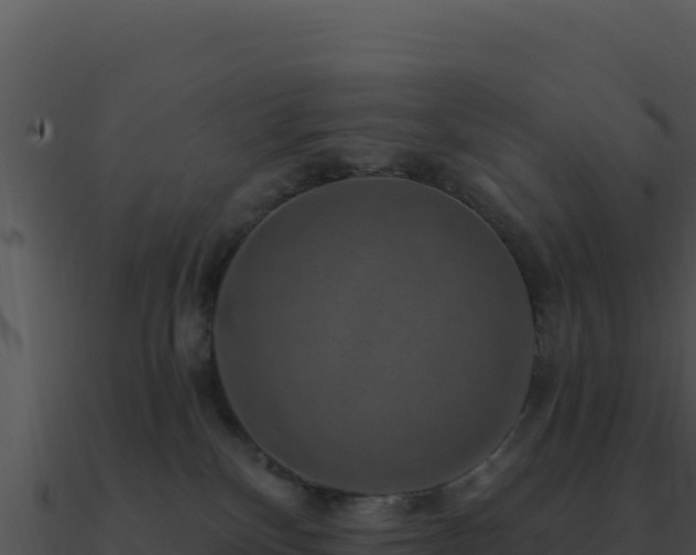 X0000091000136200708021609