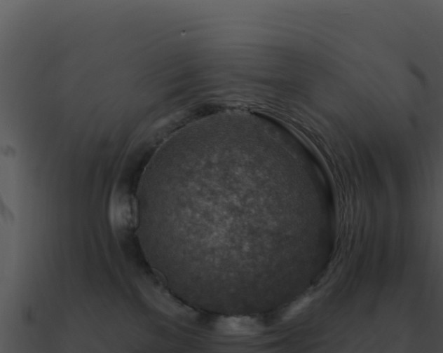 X0000091000137200708021609