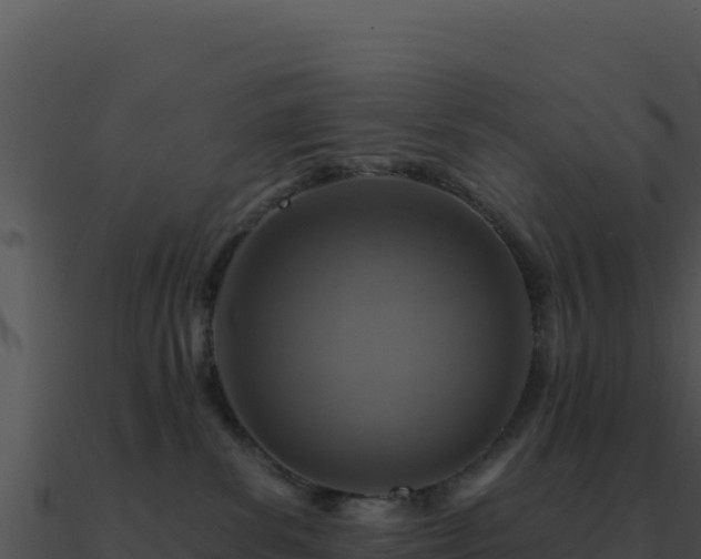 X0000091000139200708021609