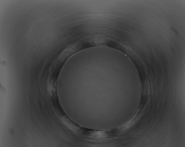X0000091000140200708021609