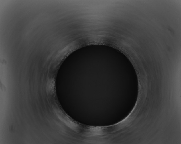 X0000091000144200708021609