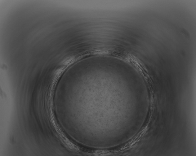 X0000091000145200708021608
