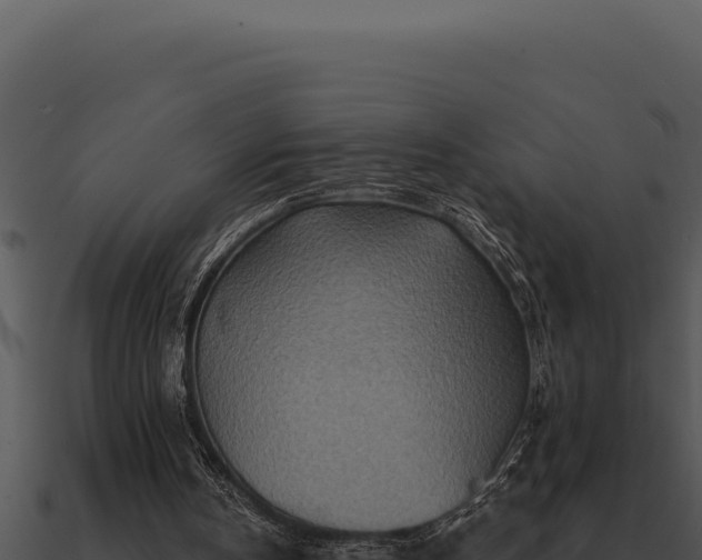 X0000091000146200708021608