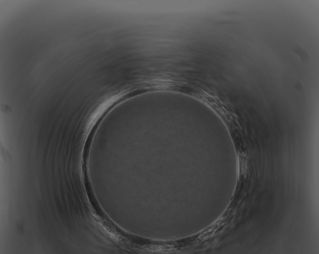 X0000091000147200708021608