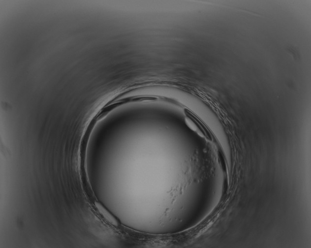 X0000091000148200708021608