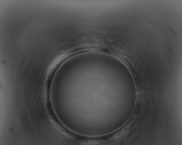 X0000091000149200708021608