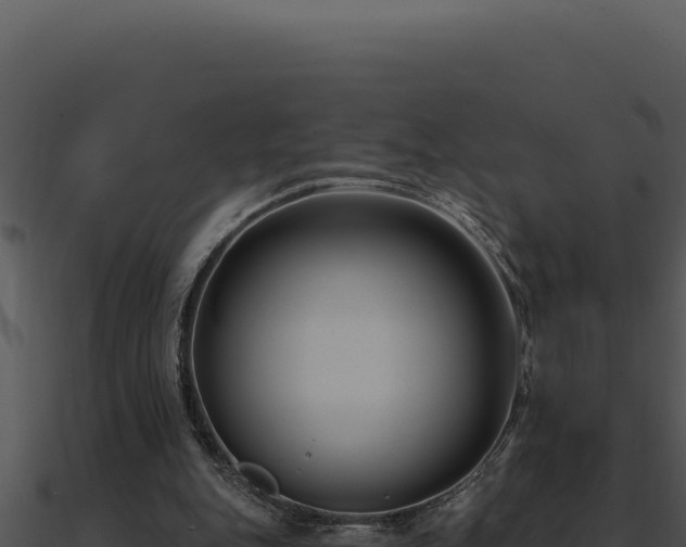 X0000091000151200708021608