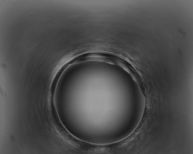 X0000091000152200708021608