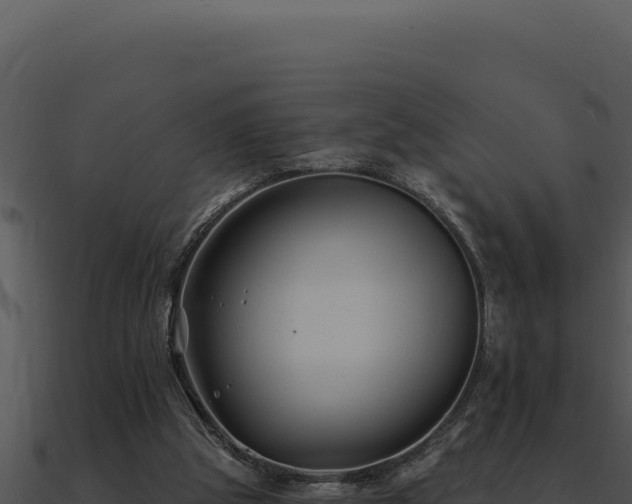 X0000091000153200708021608