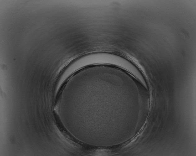 X0000091000154200708021608