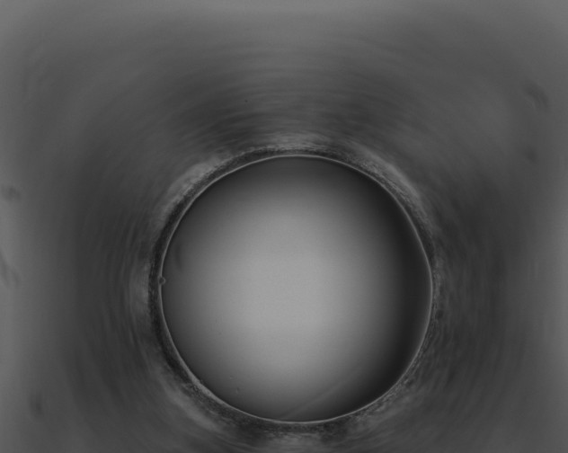 X0000091000155200708021608