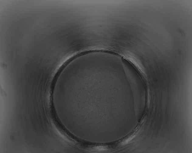 X0000091000156200708021608