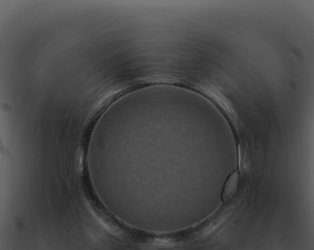 X0000091000157200708021608