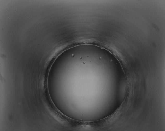 X0000091000159200708021608