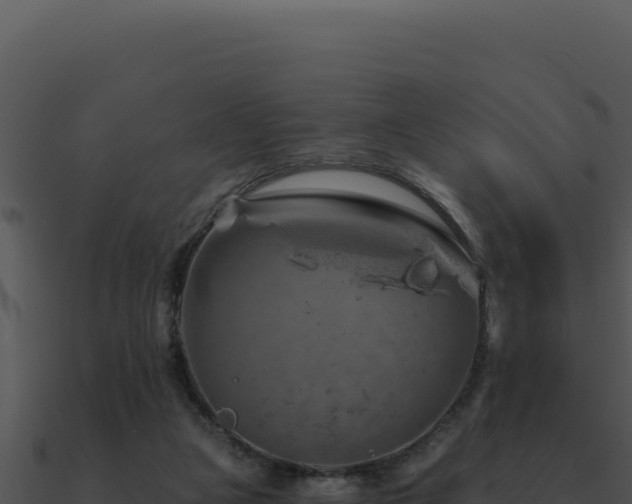 X0000091000161200708021608