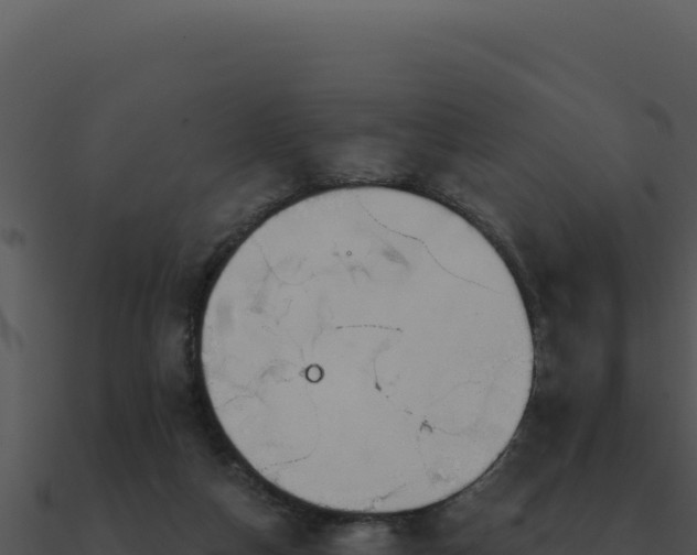 X0000091000162200708021608