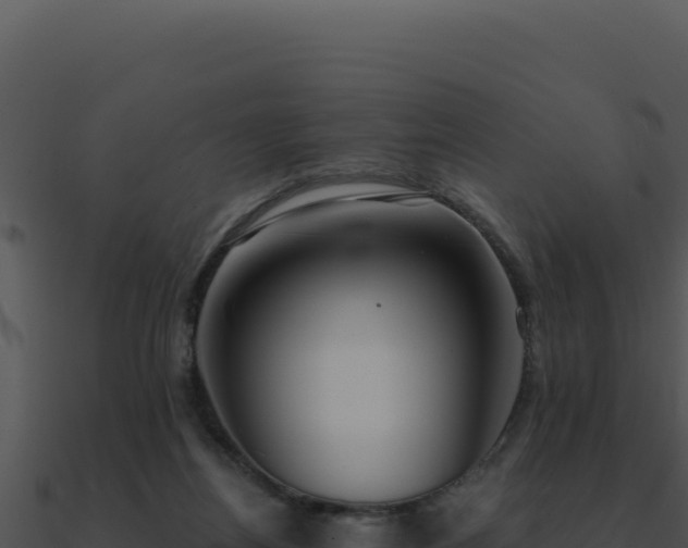 X0000091000164200708021608