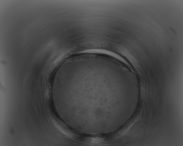 X0000091000165200708021608