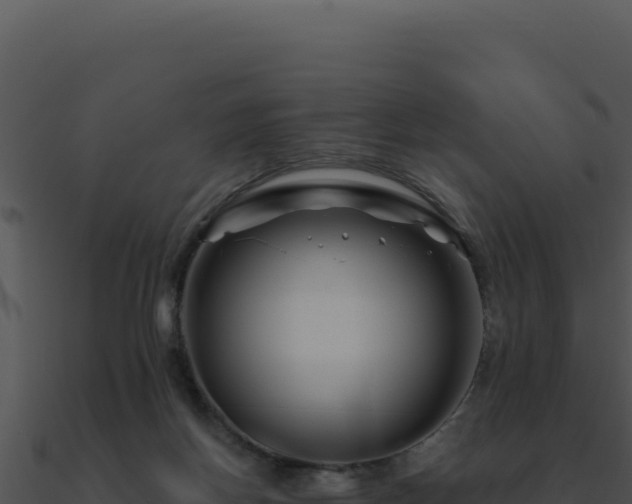 X0000091000166200708021608