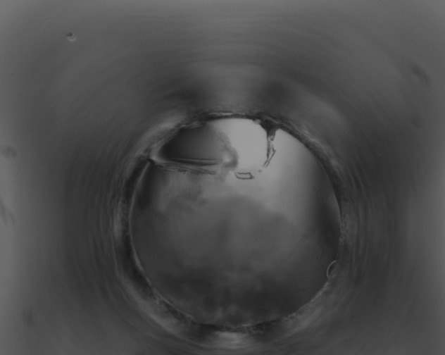 X0000091000167200708021608