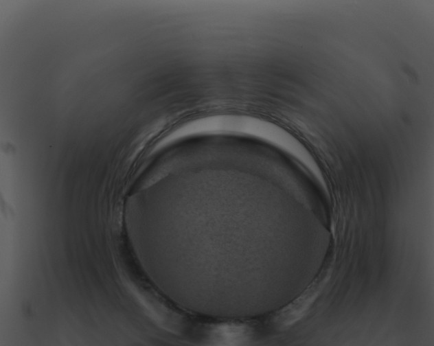 X0000091000168200708021608