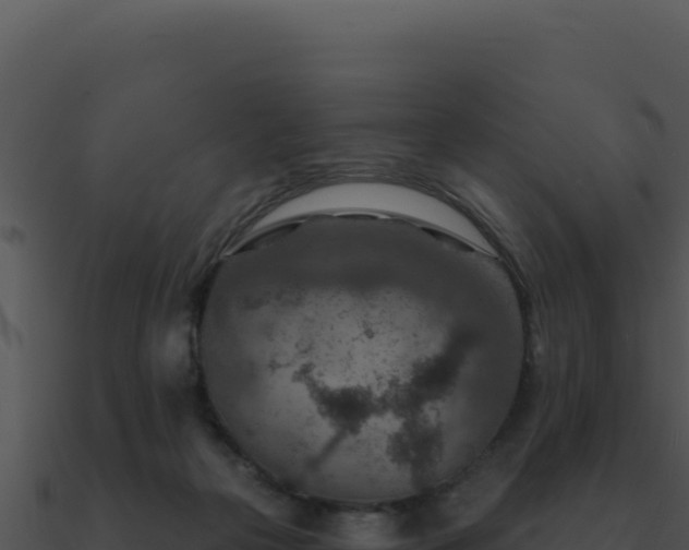 X0000091000169200708021608