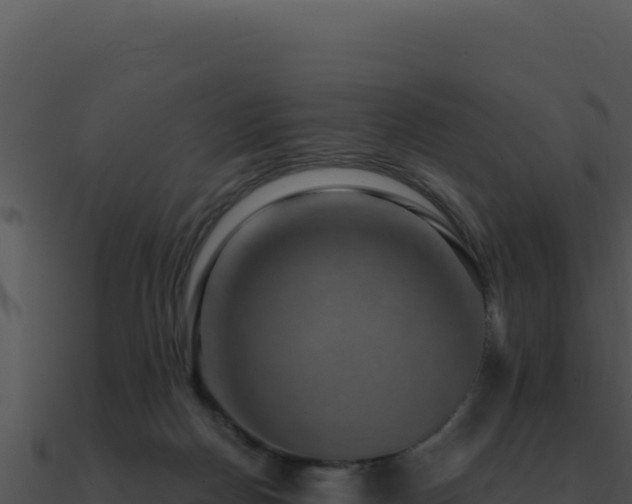 X0000091000170200708021608