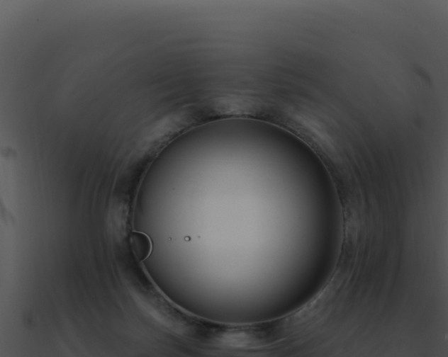 X0000091000171200708021608