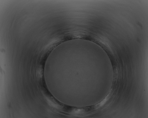 X0000091000174200708021608