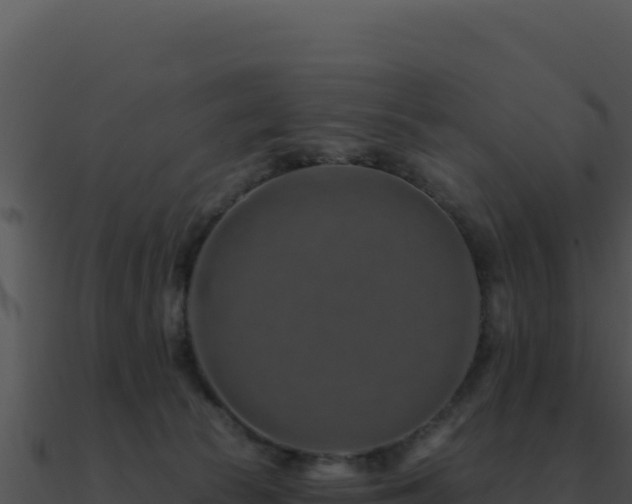 X0000091000177200708021608