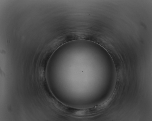 X0000091000178200708021608