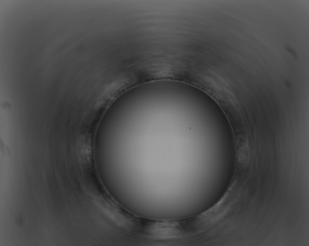 X0000091000179200708021608