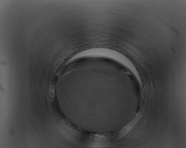 X0000091000180200708021608