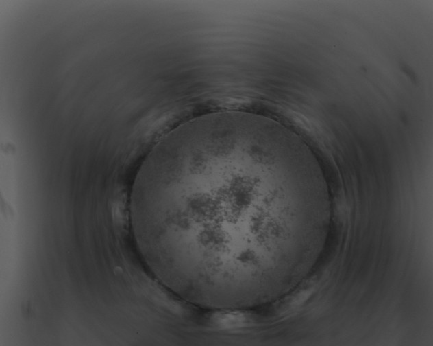 X0000091000181200708021608
