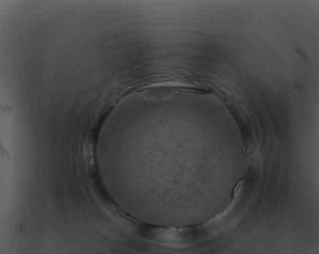 X0000091000182200708021608