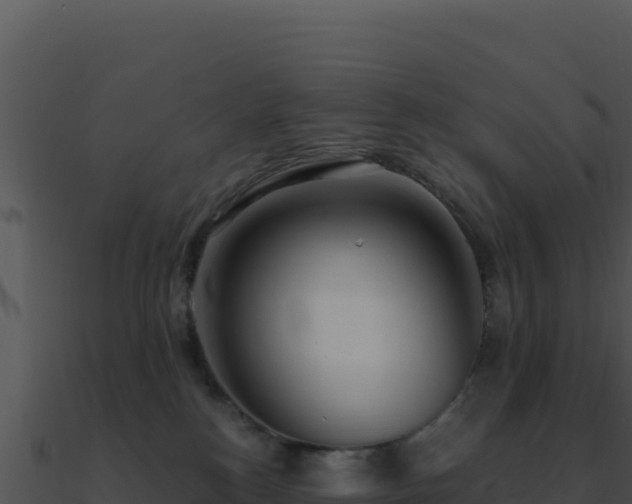 X0000091000184200708021609