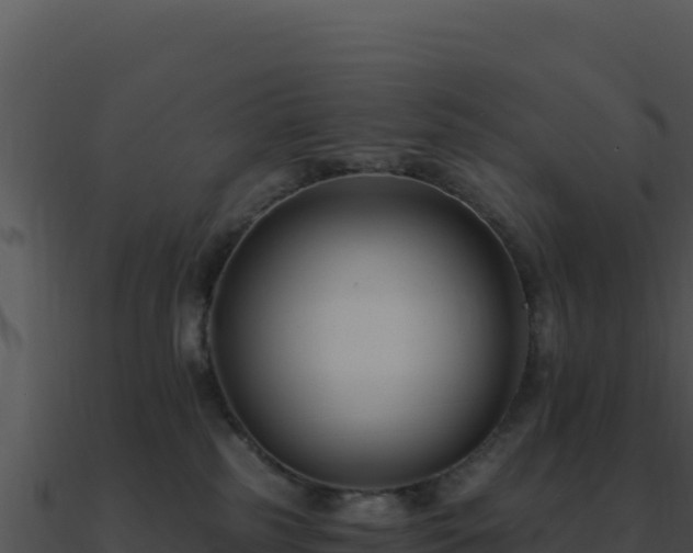 X0000091000185200708021609