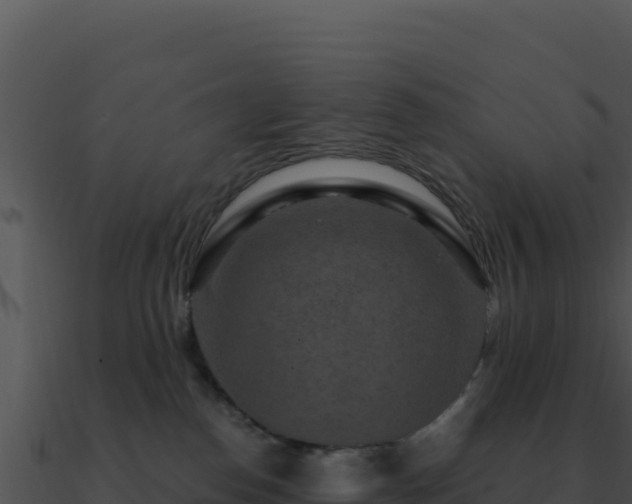 X0000091000186200708021609