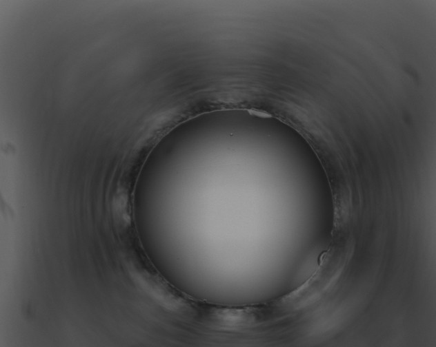 X0000091000187200708021609
