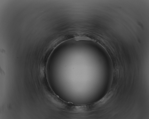X0000091000188200708021609