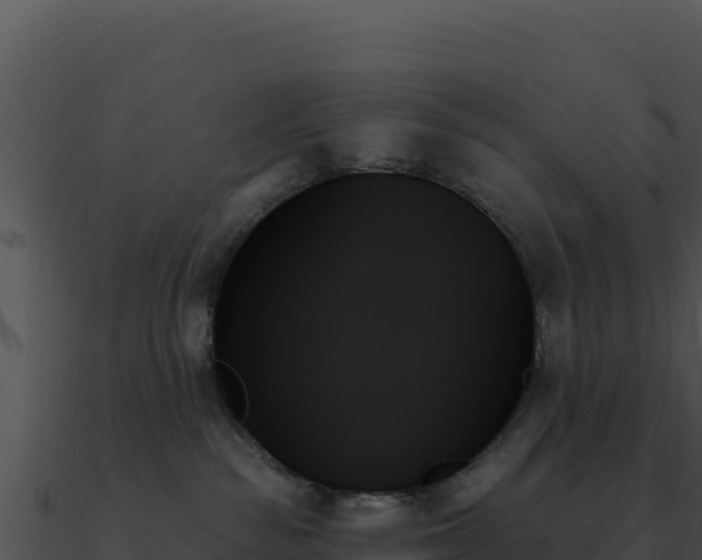 X0000091000189200708021609