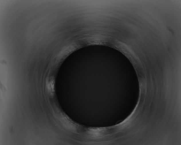 X0000091000190200708021609