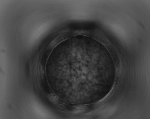 X0000091000191200708021609
