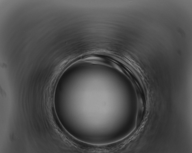 X0000091000193200708021608