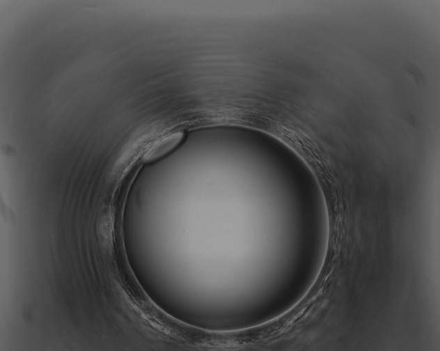 X0000091000194200708021608