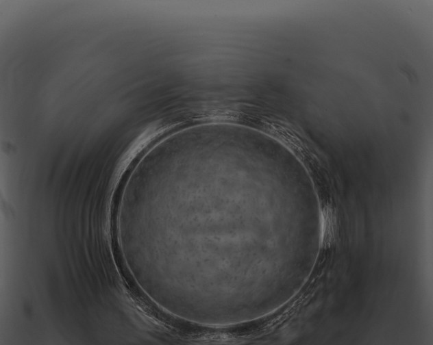 X0000091000195200708021608