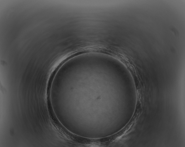 X0000091000196200708021608