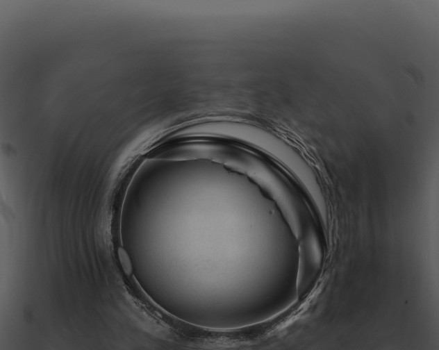 X0000091000197200708021608